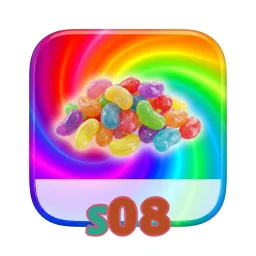 s08